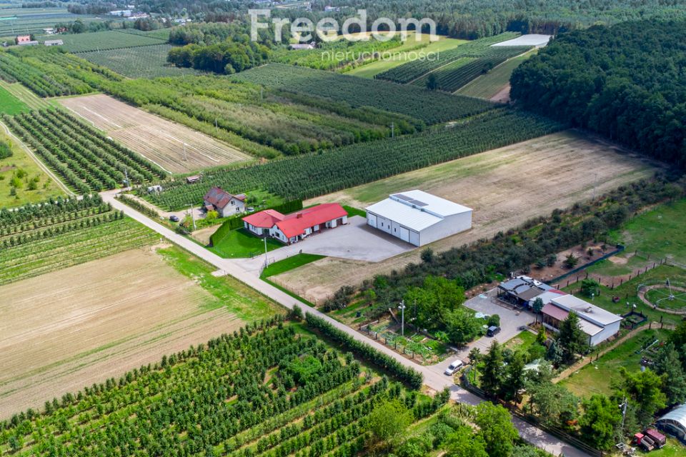 Dom Wilków Drugi