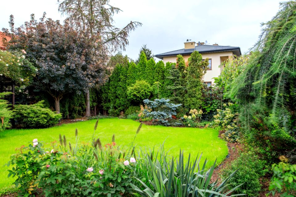 Dom Warszawa sprzedaż