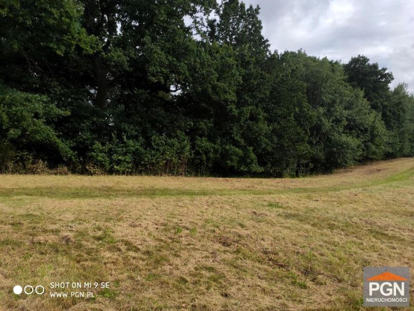 Działka rolna Skrobotowo