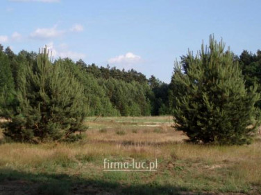 Działka budowlana Wysoka