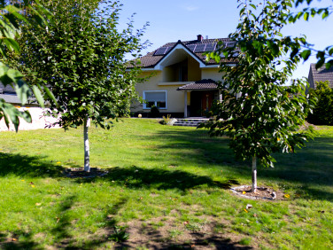 Dom Mozów