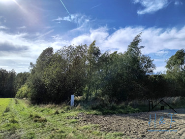 Działka rolna Brodnia Dolna