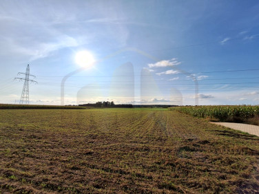 Działka usługowa Mórkowo sprzedam