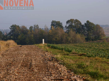 Działka budowlana Trzebnica