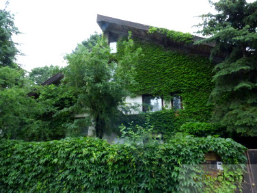 Lokal Warszawa