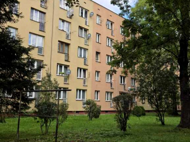 Mieszkanie Nowy Sącz