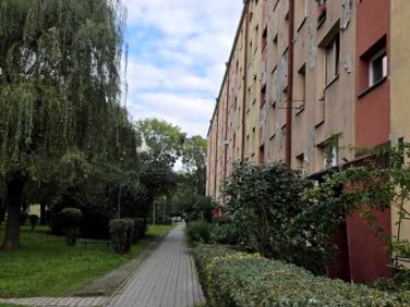 Mieszkanie Nowy Sącz