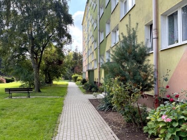 Mieszkanie Jelenia Góra