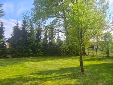 Działka budowlana Rusiec sprzedam