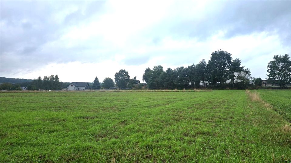 Działka budowlana Rybnik