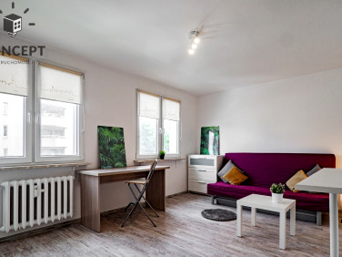 Mieszkanie Wrocław wynajem