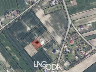 Działka budowlana Lubczyno