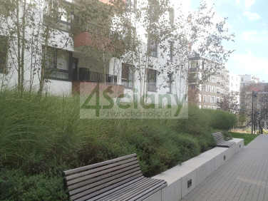 Mieszkanie apartamentowiec wynajem