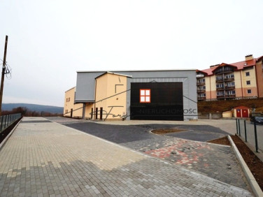 Lokal Ostrów