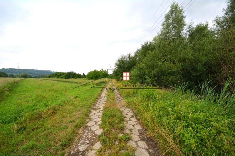 Zdjęcie 3