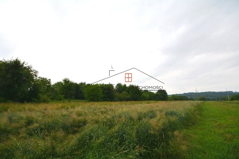 Zdjęcie 2