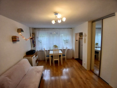 Mieszkanie przy lesie