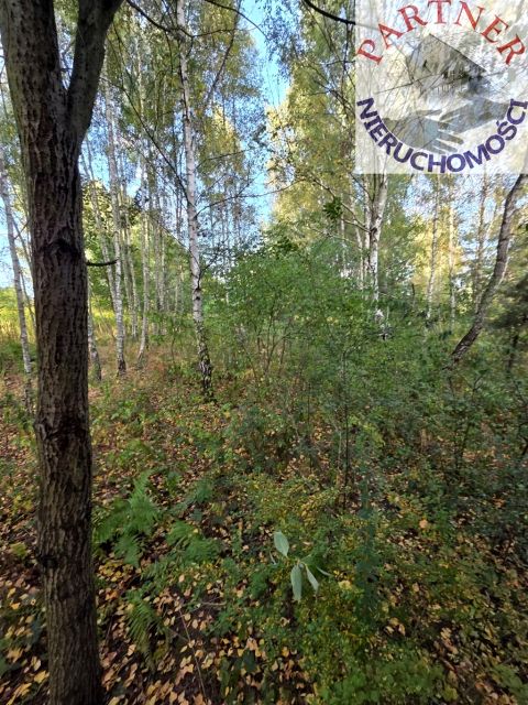 Działka rolna Balin