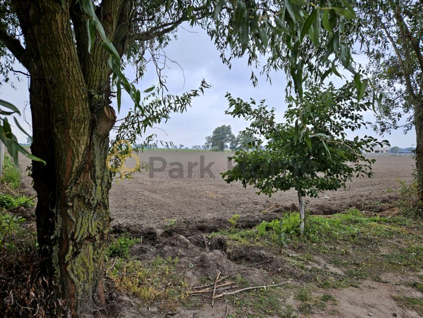 Działka budowlana Kokorzyn