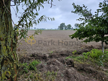 Działka budowlana Kokorzyn sprzedam