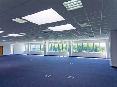 Budynek użytkowy Warszawa wynajem