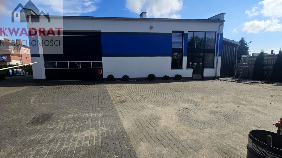 Lokal Elbląg
