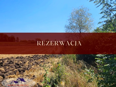Działka Karsy Dolne