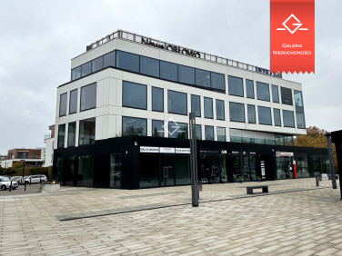 Lokal Gdynia