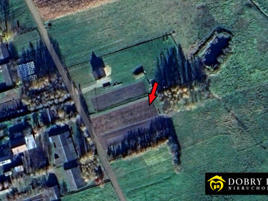 Działka rolna Orla