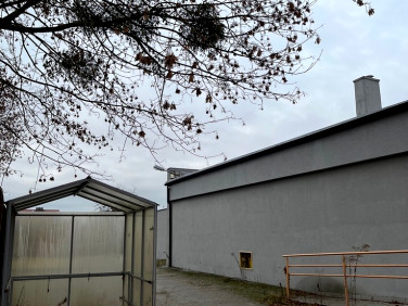 Lokal Wołów sprzedaż