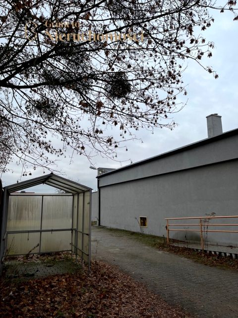 Lokal Wołów sprzedaż