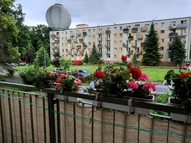 Mieszkanie Wrocław