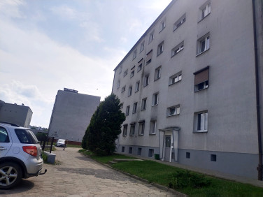 Mieszkanie Śrem