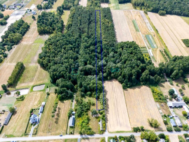 Działka budowlana Kochanów