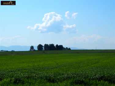 Działka budowlano-rolna Ćwiklice