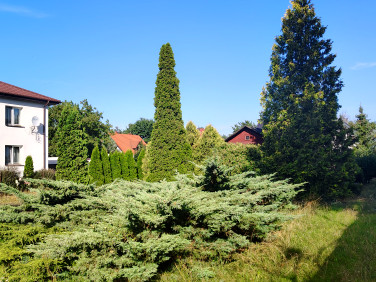 Działka budowlana Białobrzegi
