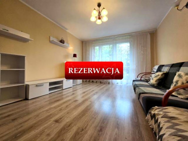 Mieszkanie Świdnica