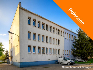 Lokal Inowrocław
