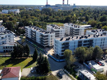 Lokal Warszawa