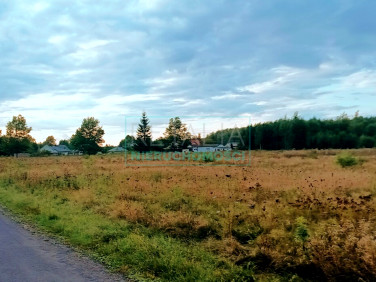 Działka rolna Władków sprzedam