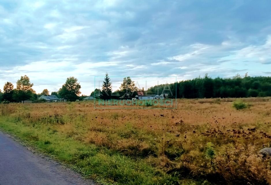 Działka rolna Władków sprzedam