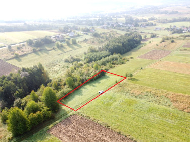 Działka rolna Sadki