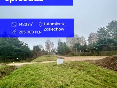 Działka Zdziechów