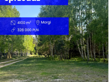 Pusta działka Ldzań