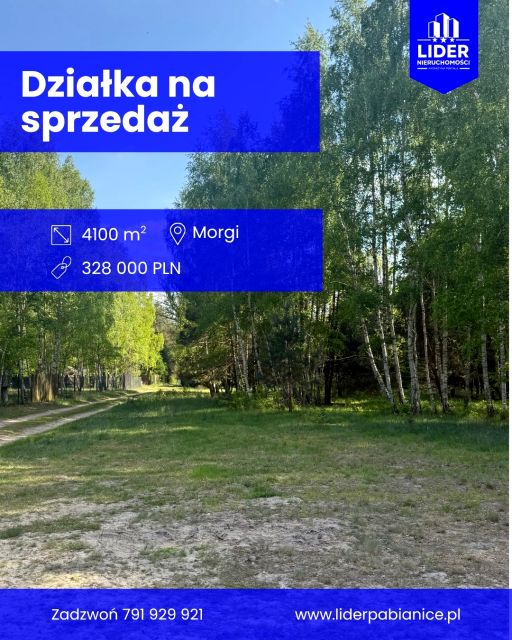 Pusta działka Ldzań