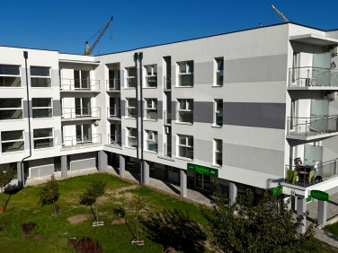 Lokal Luboń