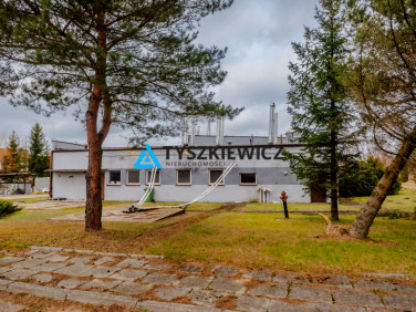 Lokal Kołczygłowy