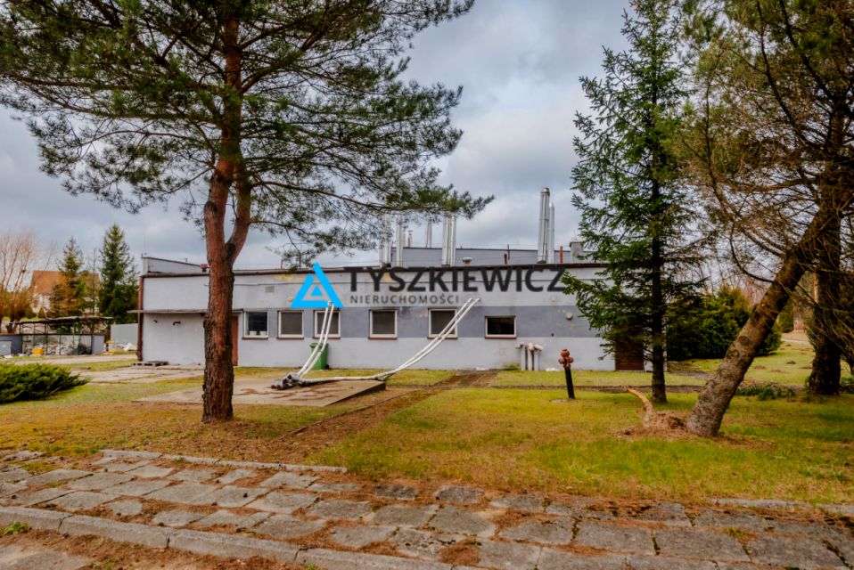 Lokal Kołczygłowy