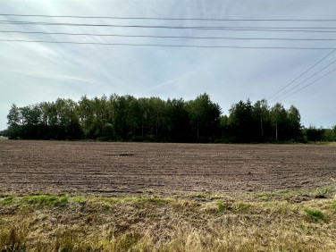 Działka budowlana Buczek sprzedam