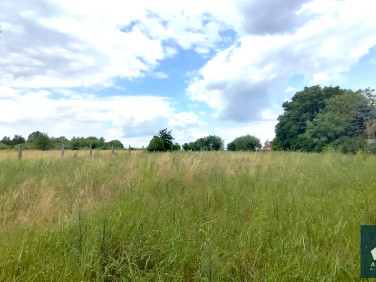 Działka rolna Dąbrówka Wielka
